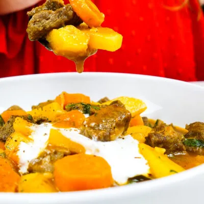 Keeping a soon of beef carrot potato stew over a bowl of stew