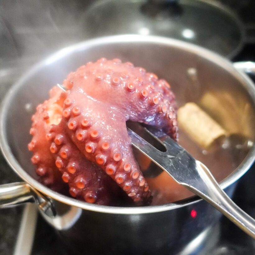 Step 5. Preheat Oven & Check Octopus