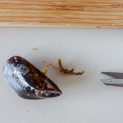 Step 3. Clean mussels