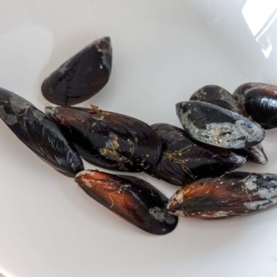 Step 3. Clean mussels