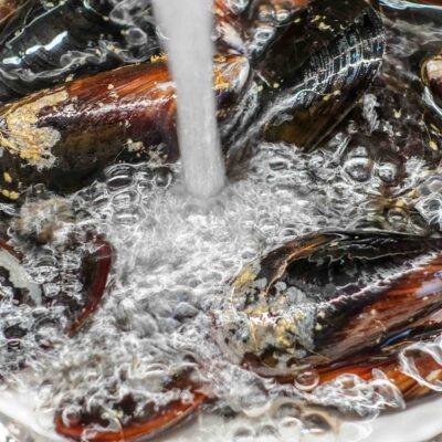 Step 2. Soak & rinse mussels