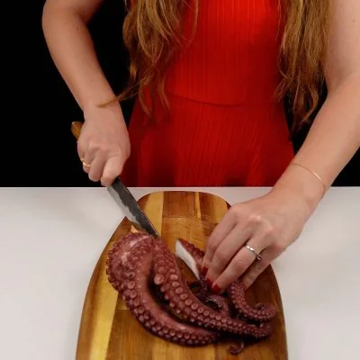 Step 1. Prepare the Octopus