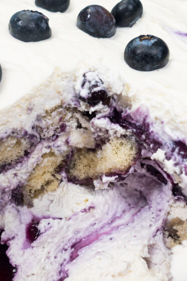A big tray of blueberry tiramisu with fresh blueberries on top