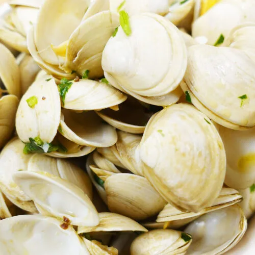 Open Steamed Clams in Wine with garlic and cilantro in a bowl