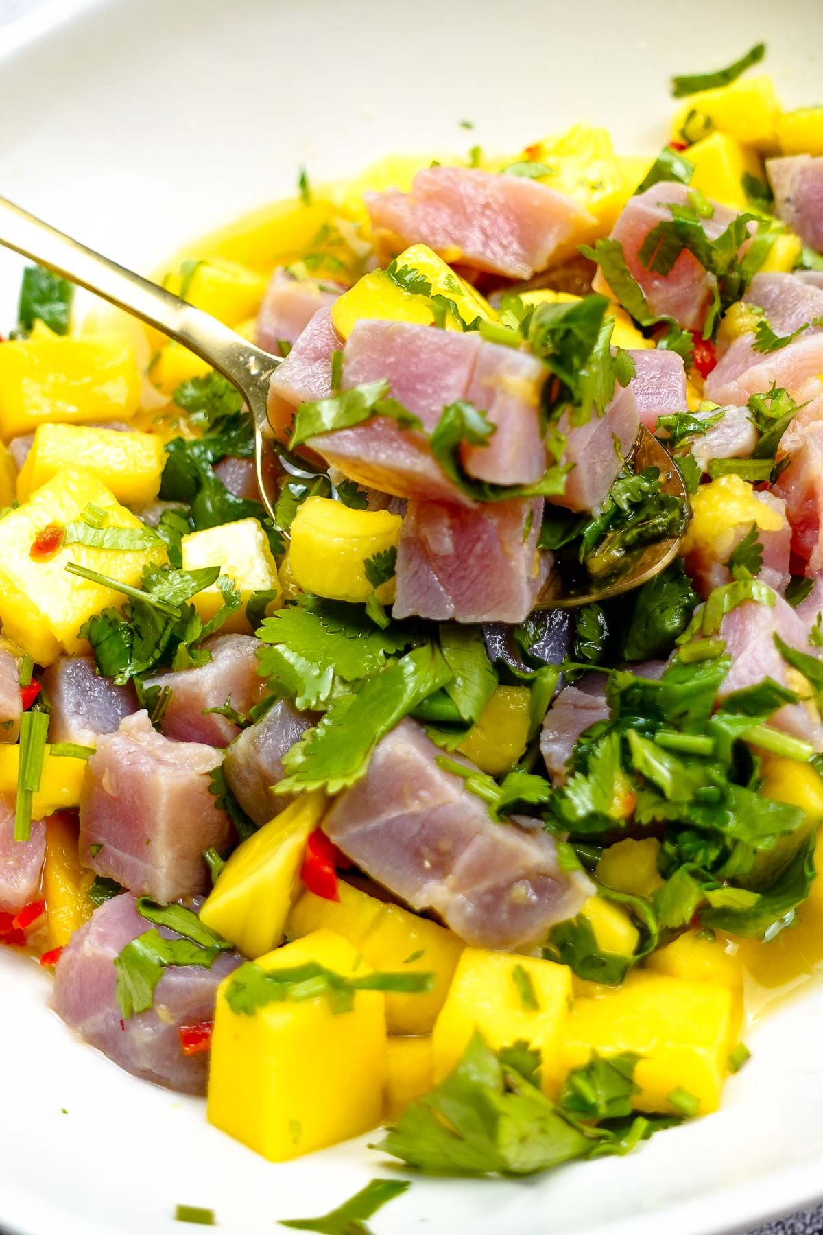Tuna Ceviche with Mango in a bowl with a full fork