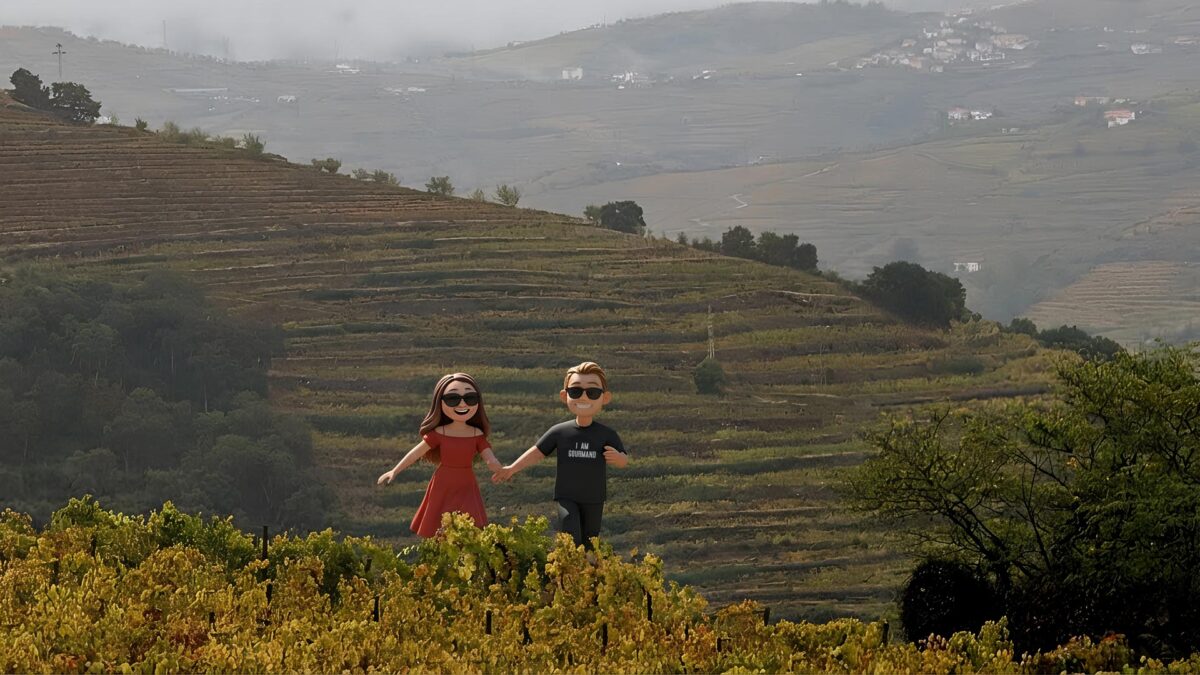 Douro Scala Hotel & Spa and Restaurante do Paço surroundings