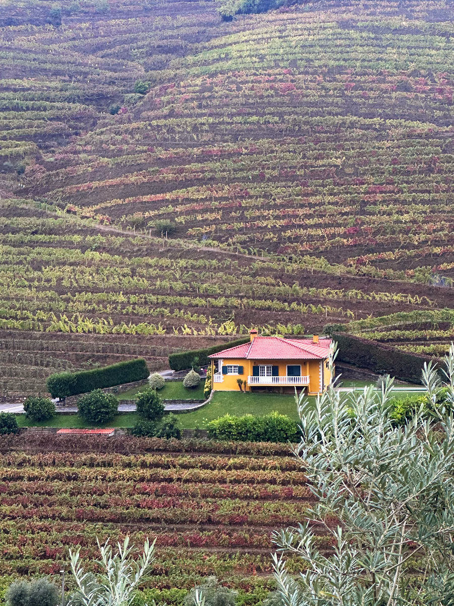 On the way to Douro Scala Hotel & Spa and Restaurante do Paço