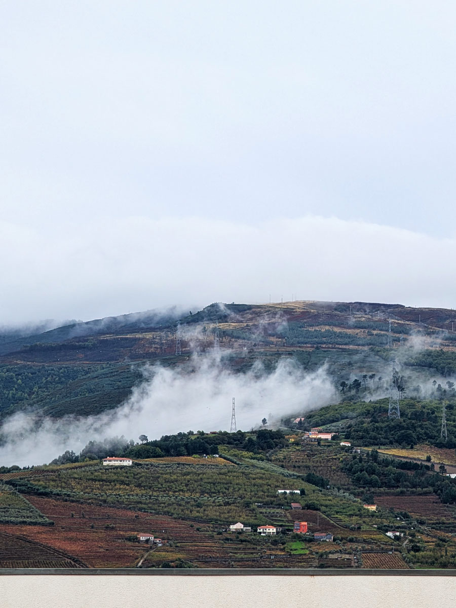 Around the Douro Scala Hotel & Spa and Restaurante do Paço