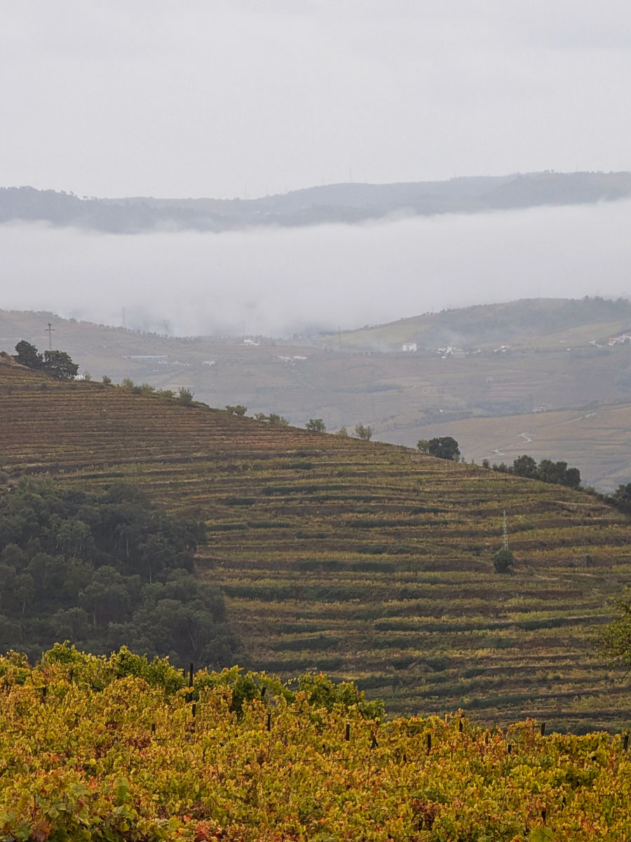 The Douro valley