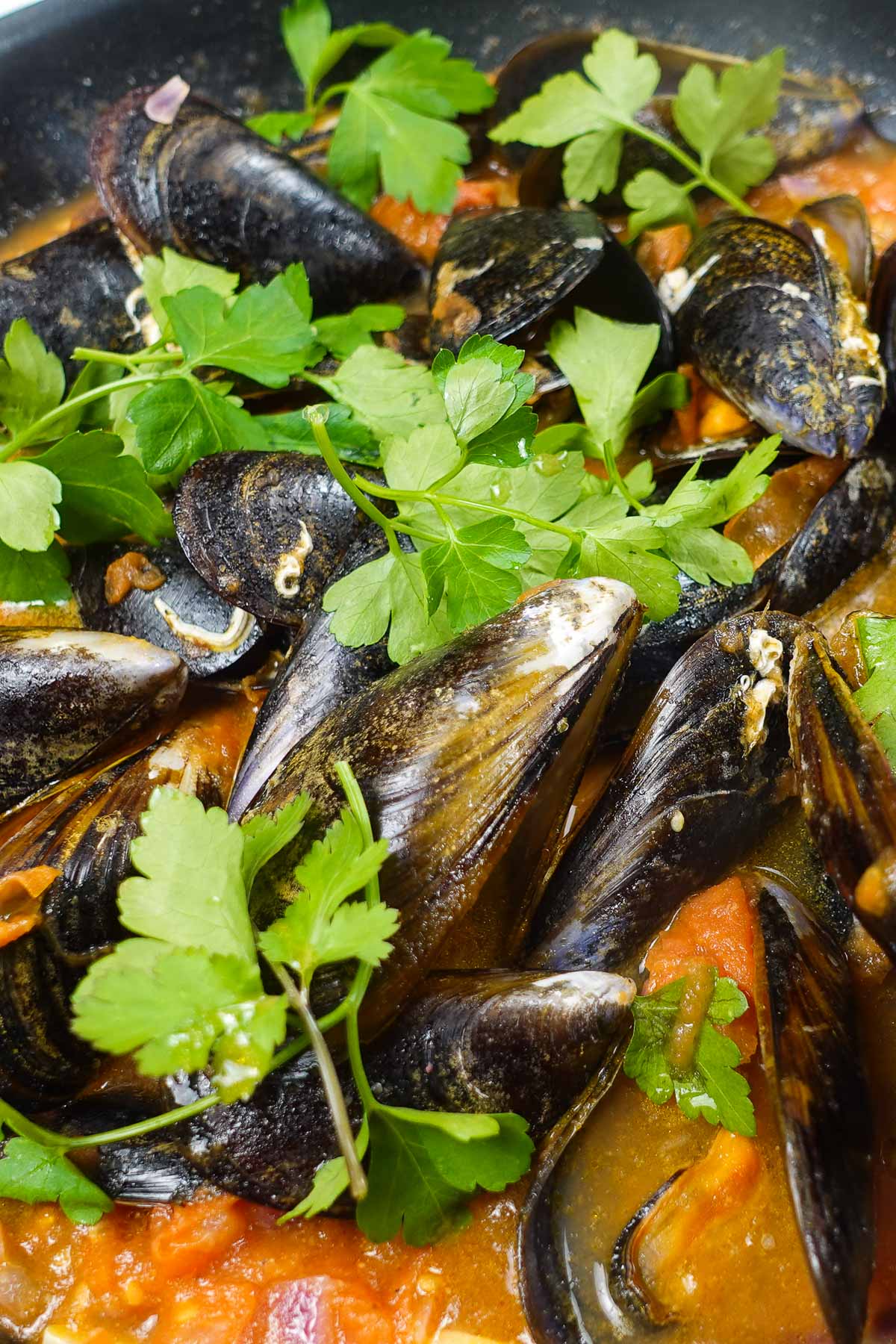 A closeup of pan filled with hot Mussels in tomato sauce and fresh parsley on top