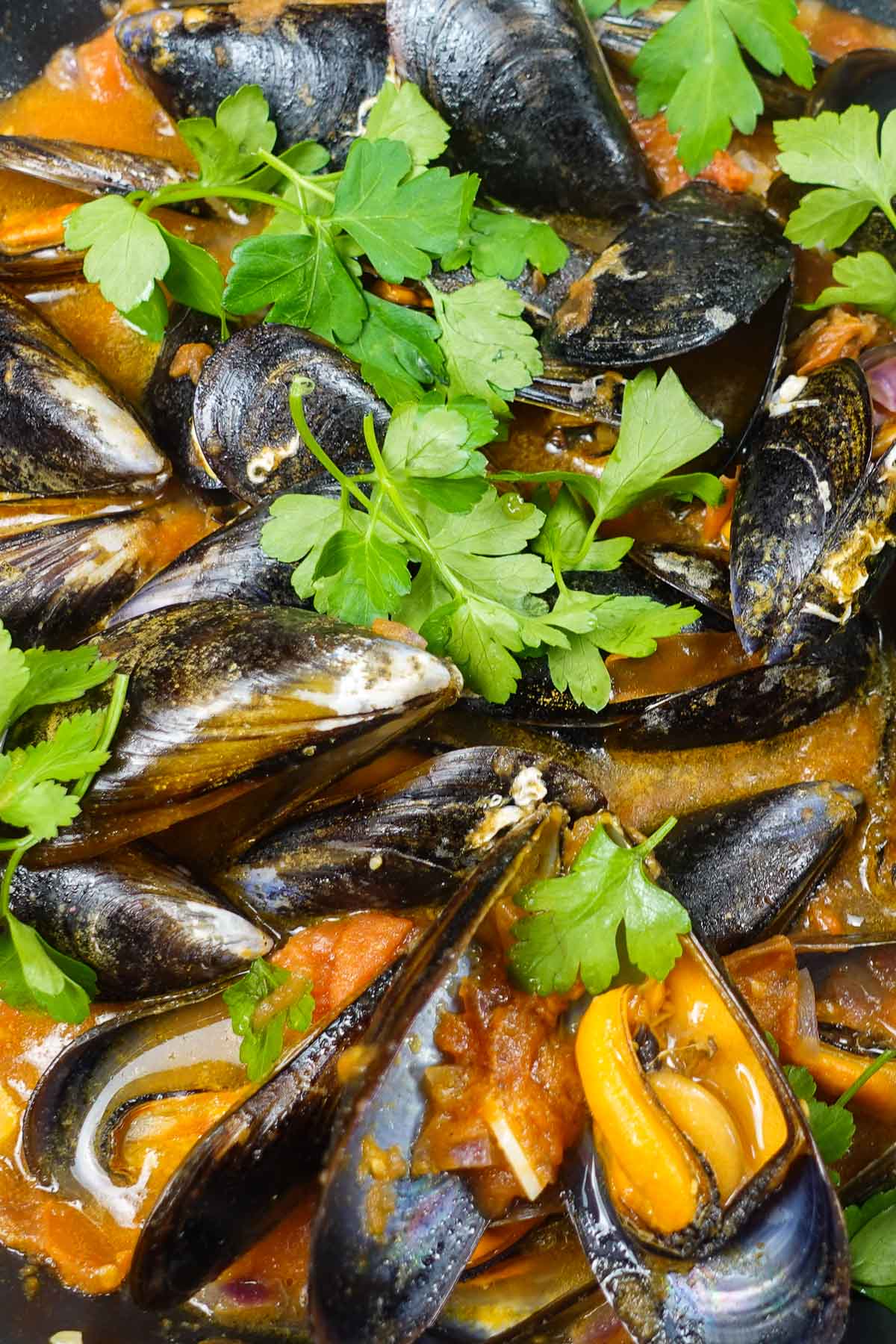 Open mussels in tomato sauce