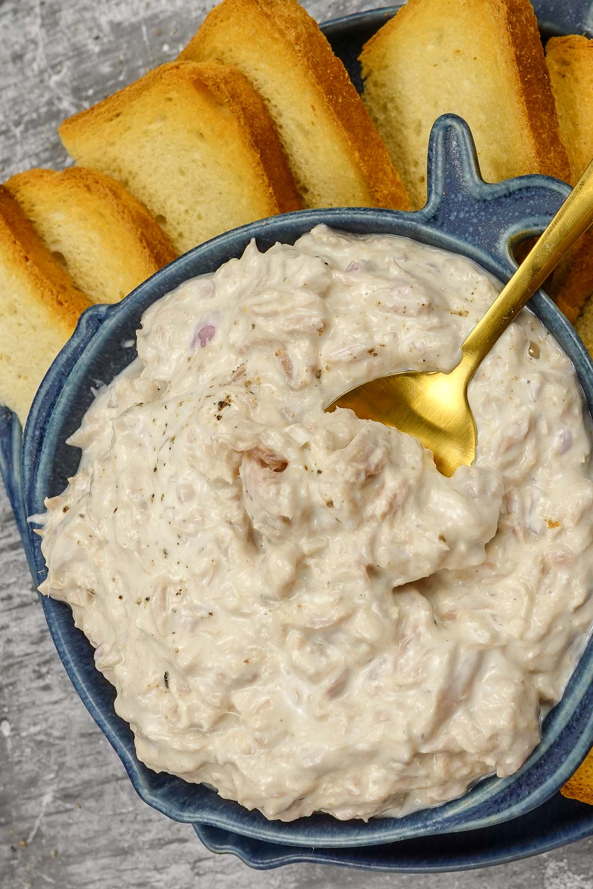Tuna dip in a bowl with a spoon inside and crackers on a side