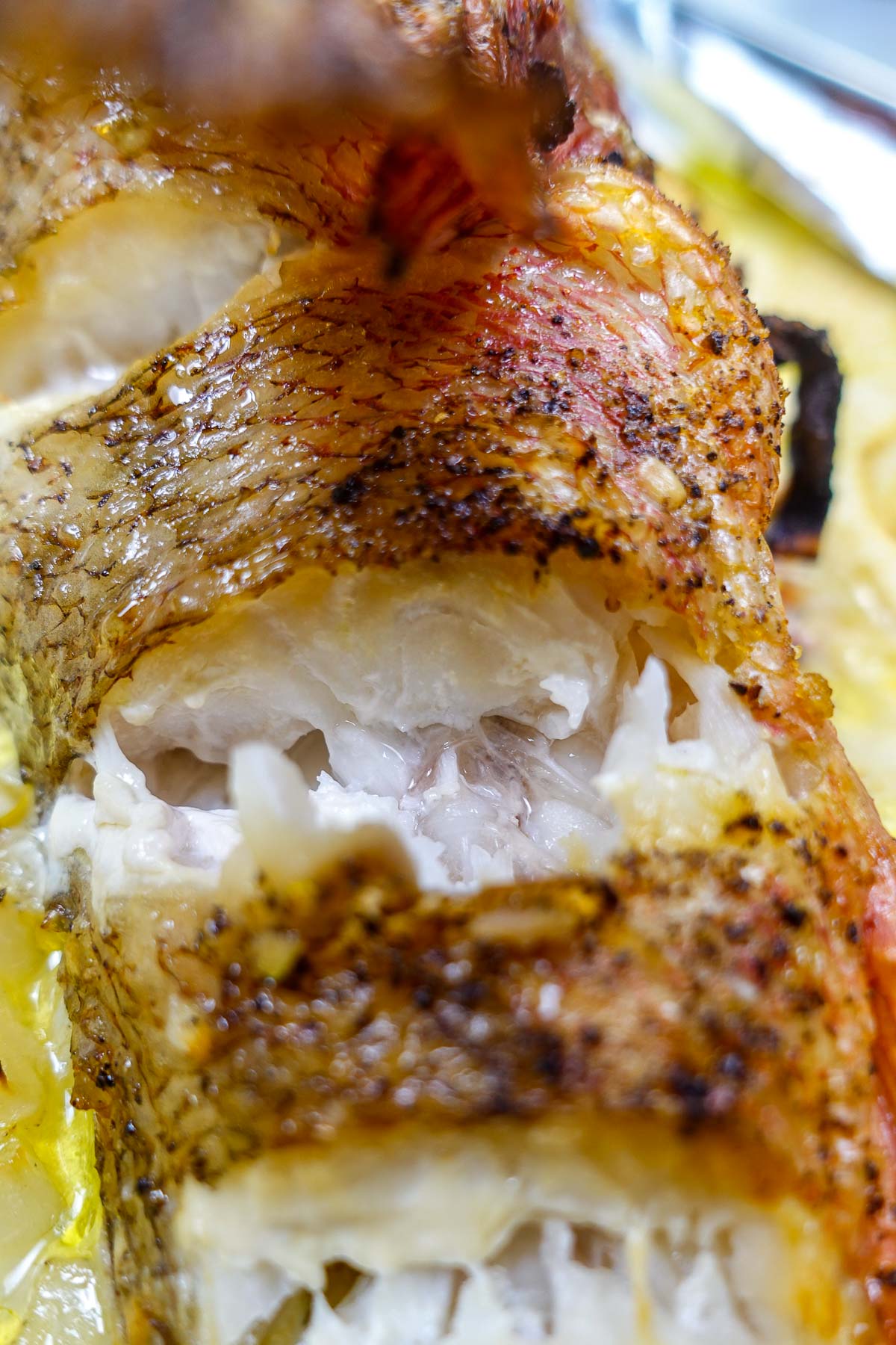 Whole baked scorpionfish on a tray with golden onion in olive oil.