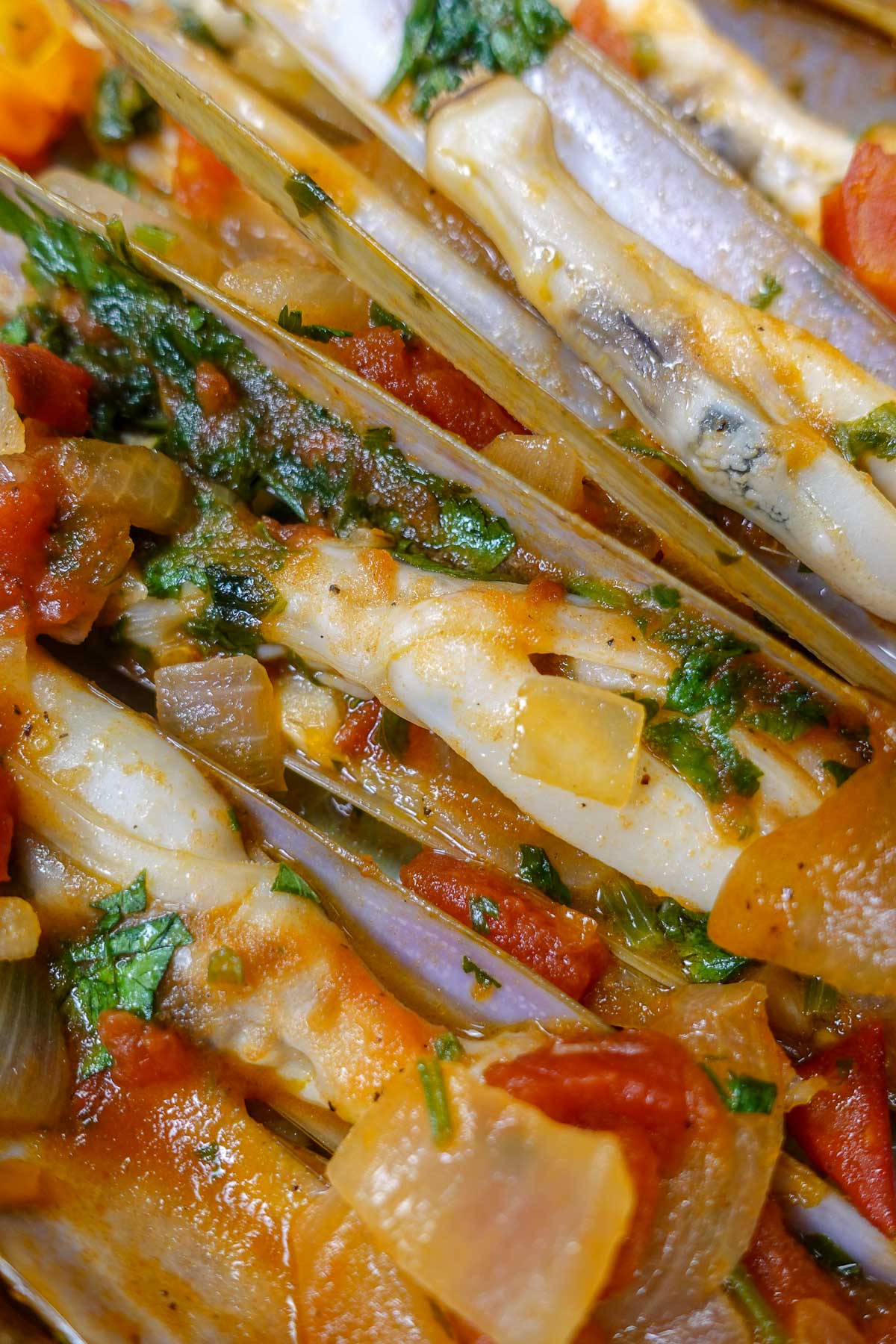 A closeup of delicious razor clams in tomato sauce