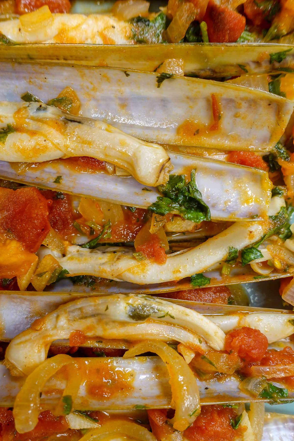 Mouthwatering Portuguese razor clams in tomato sauce with cilantro and garlic