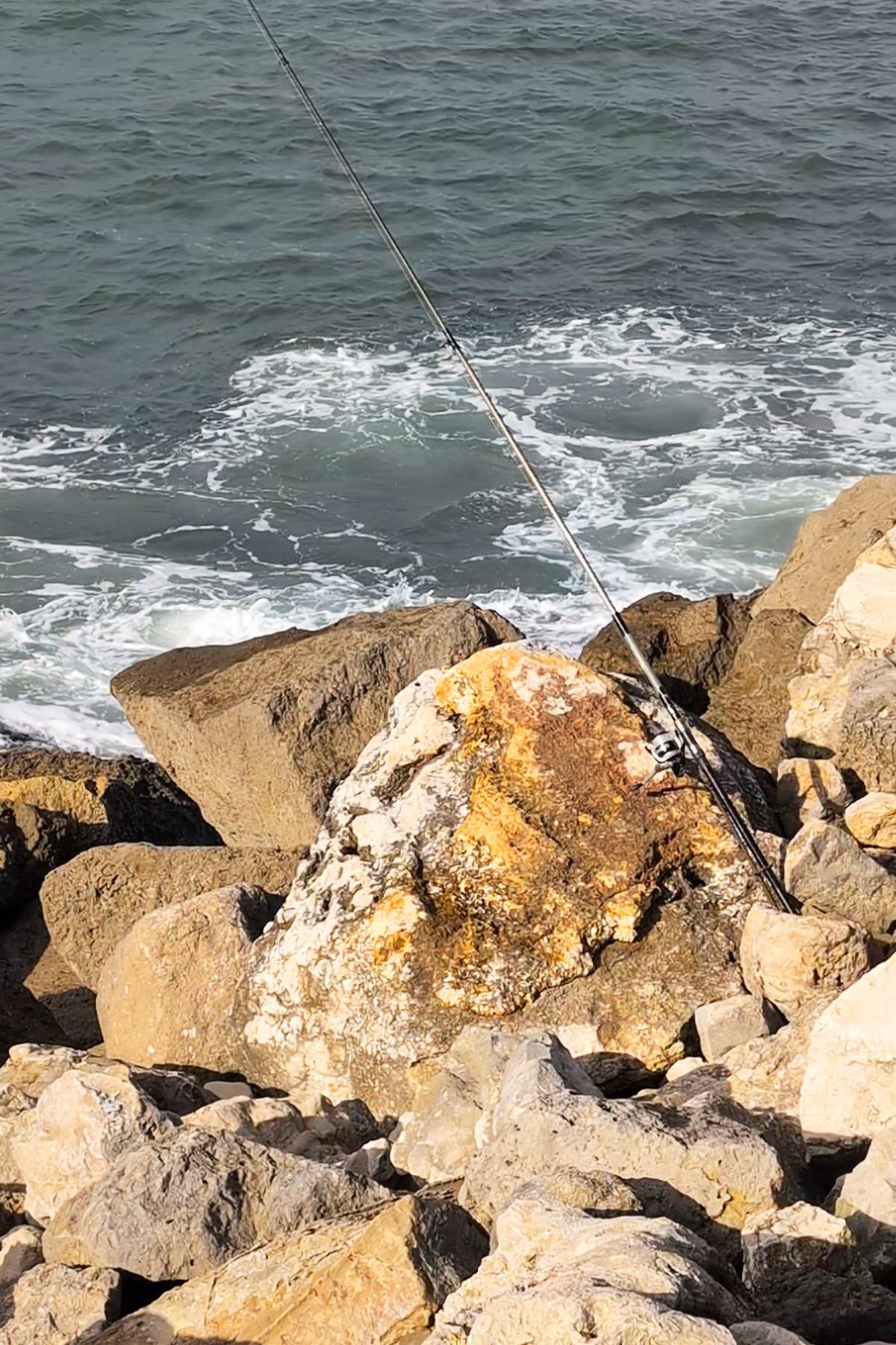A fishing rod