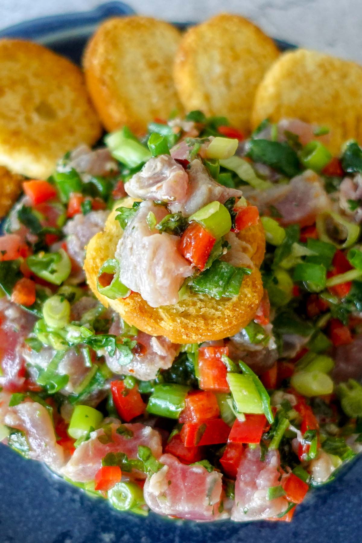 Restaurant-style tuna appetizer with diced vegetables and toasted bread slices.