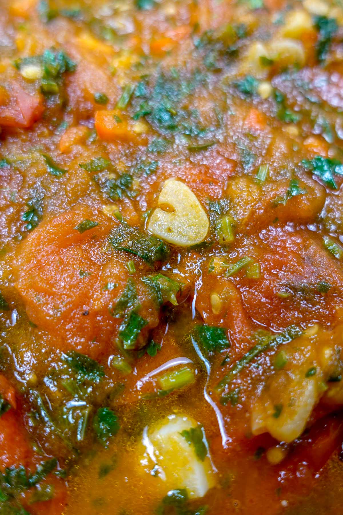Close-up of spicy tomato sauce with cilantro and garlic slices.