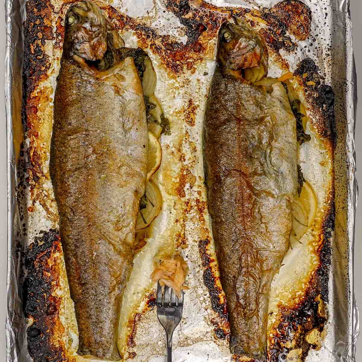Two whole baked rainbow trout on foil-lined tray with fork.