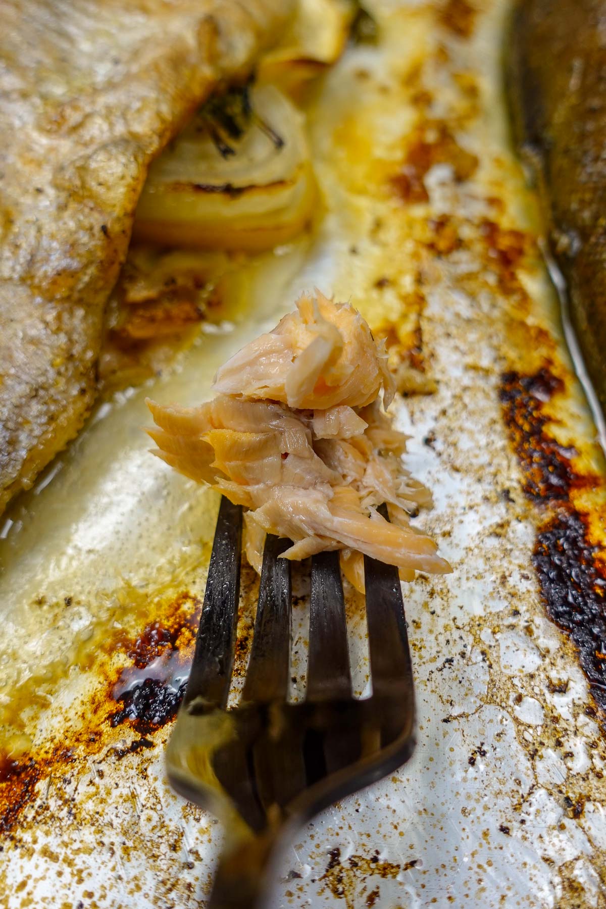 Flaked cooked rainbow trout on a fork with crispy skin.