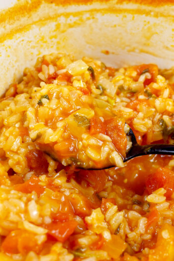 Spoonful of saucy Portuguese tomato rice